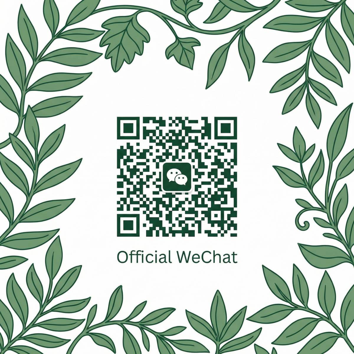 麻豆传媒公众号二维码